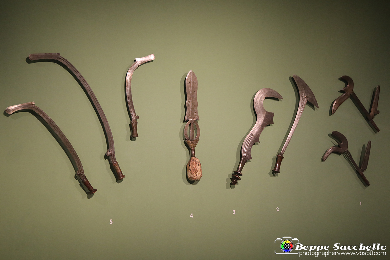 VBS_5392 - Africa - Le collezioni dimenticate.jpg